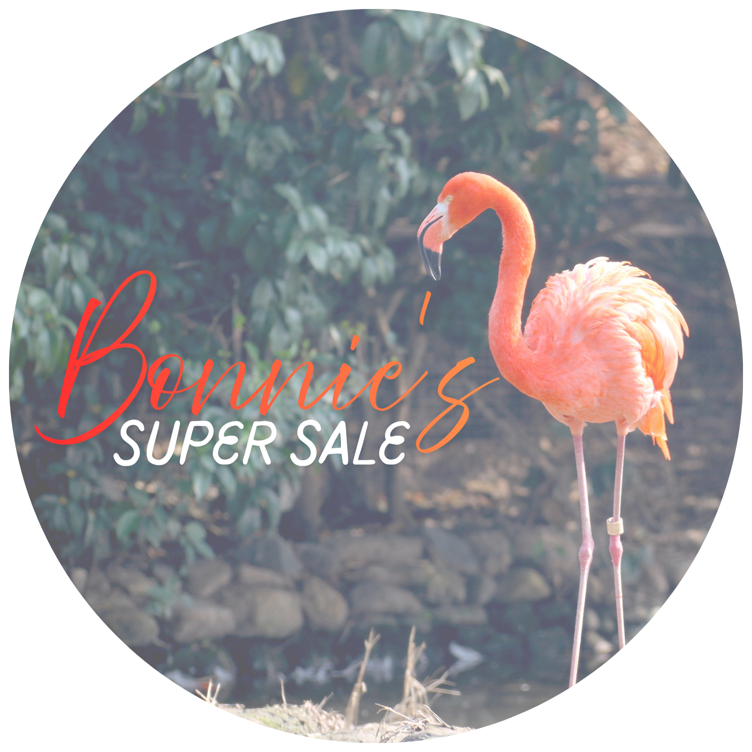 Bonnie's Super Sale