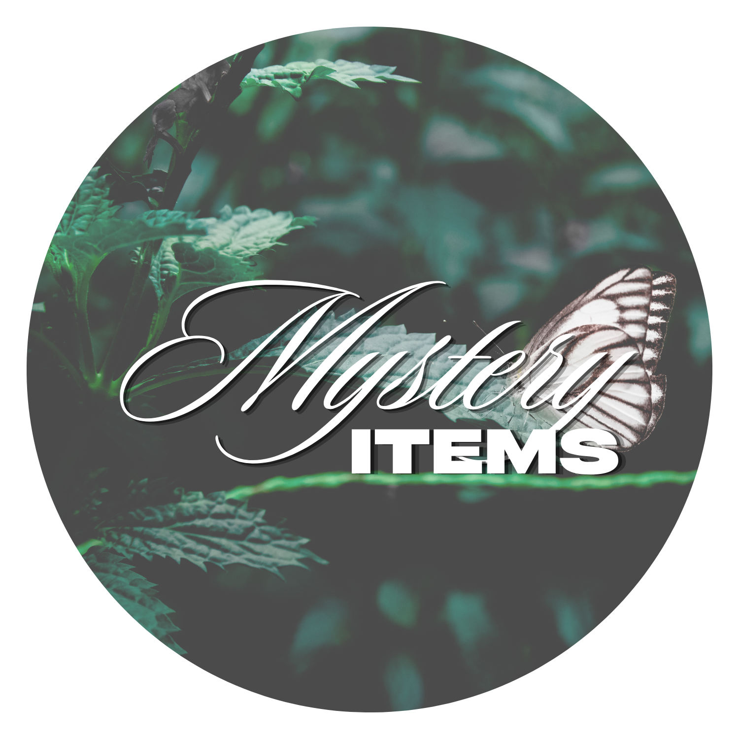 Mystery Items