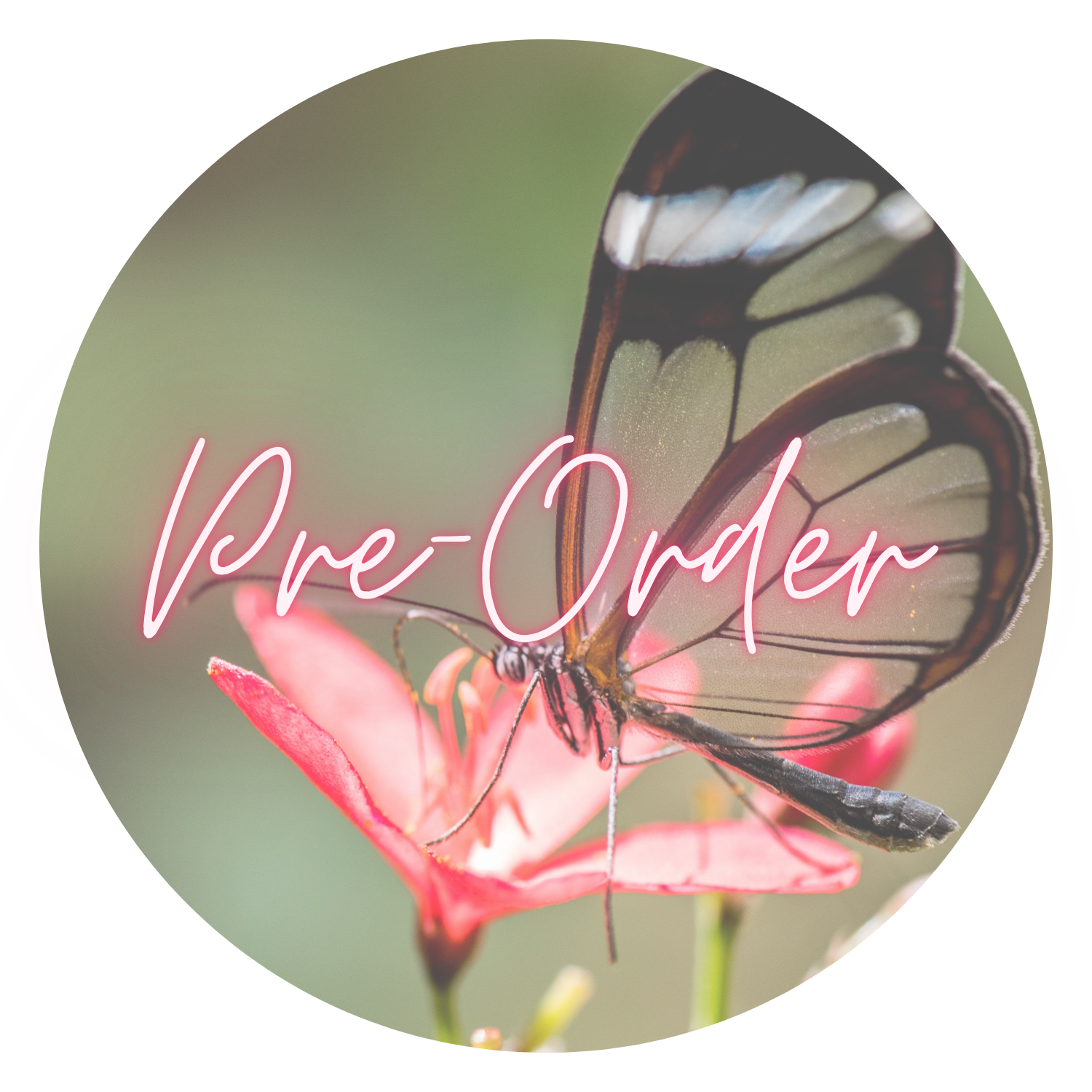 Pre-Order