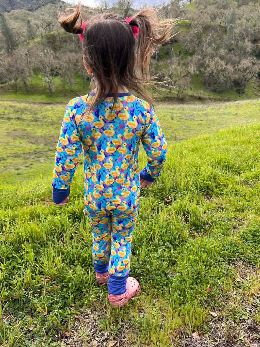 Baby Chicks - Long Sleeve Zippy