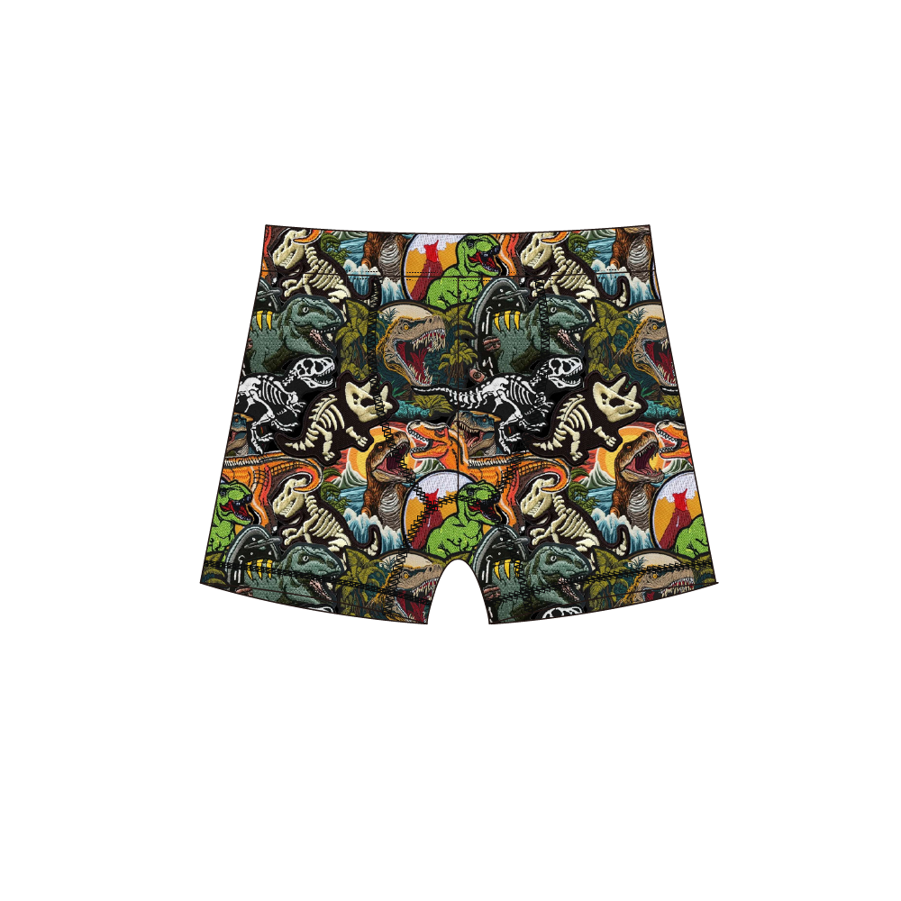 Jurassic Journey - Boys Boxers