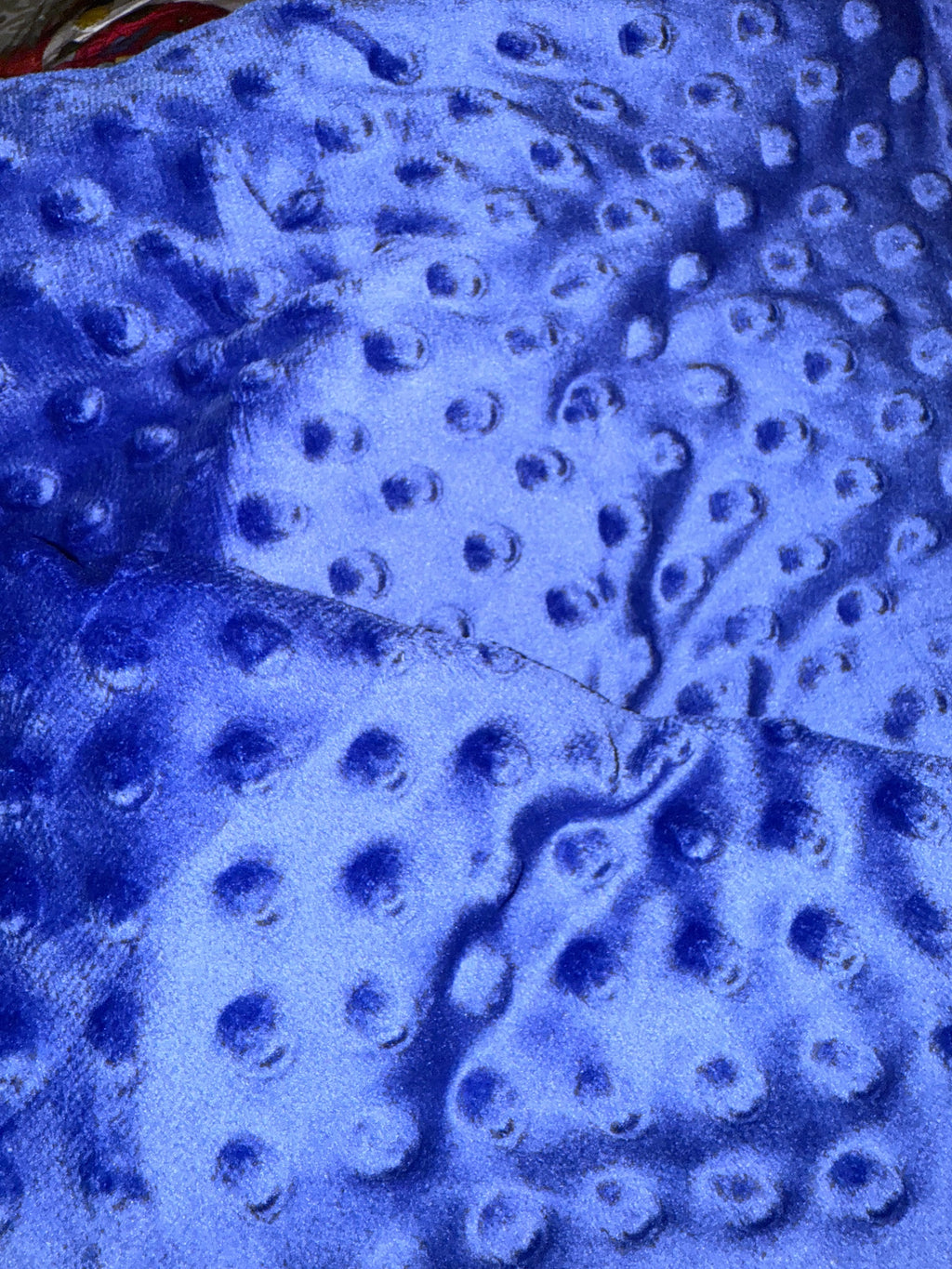 Tiny Pilot 30x40 BLANKET