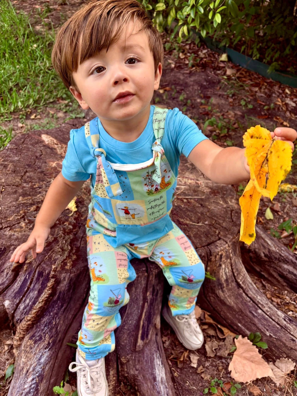 The Perfect Day Adjustable Overalls