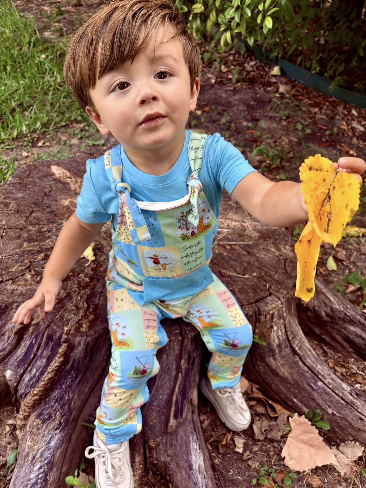 The Perfect Day Adjustable Overalls