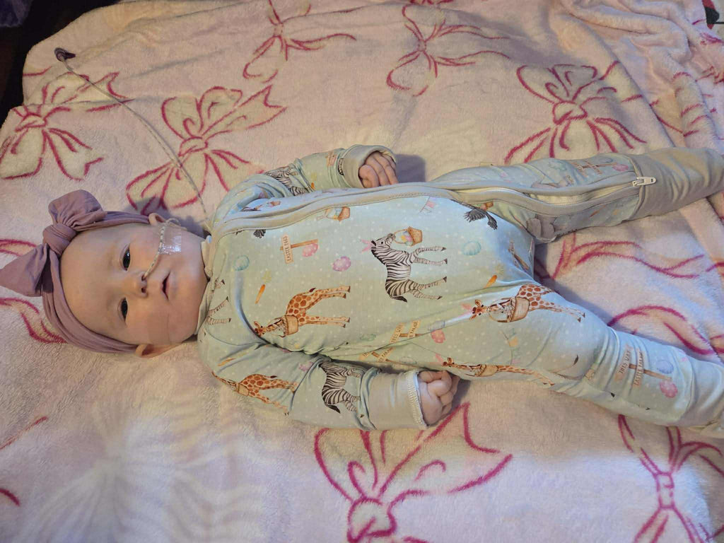 Easter Zoo - Long Sleeve Zippy